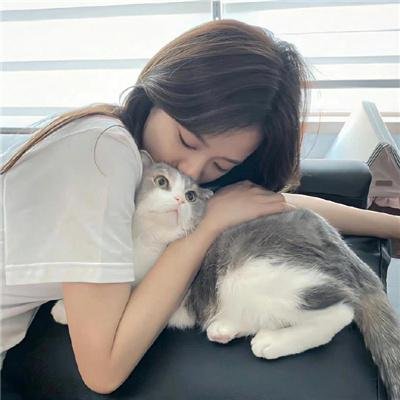 猫眼